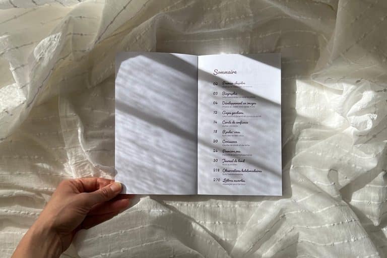 Le Carnet de Suivi Bebe a Imprimer Milky Daisy